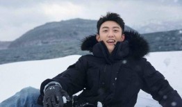 郑磊最新爆料视频大全,揭秘背后惊人真相