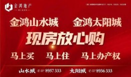 南充最新爆料新闻,揭秘城市热点事件背后的真相